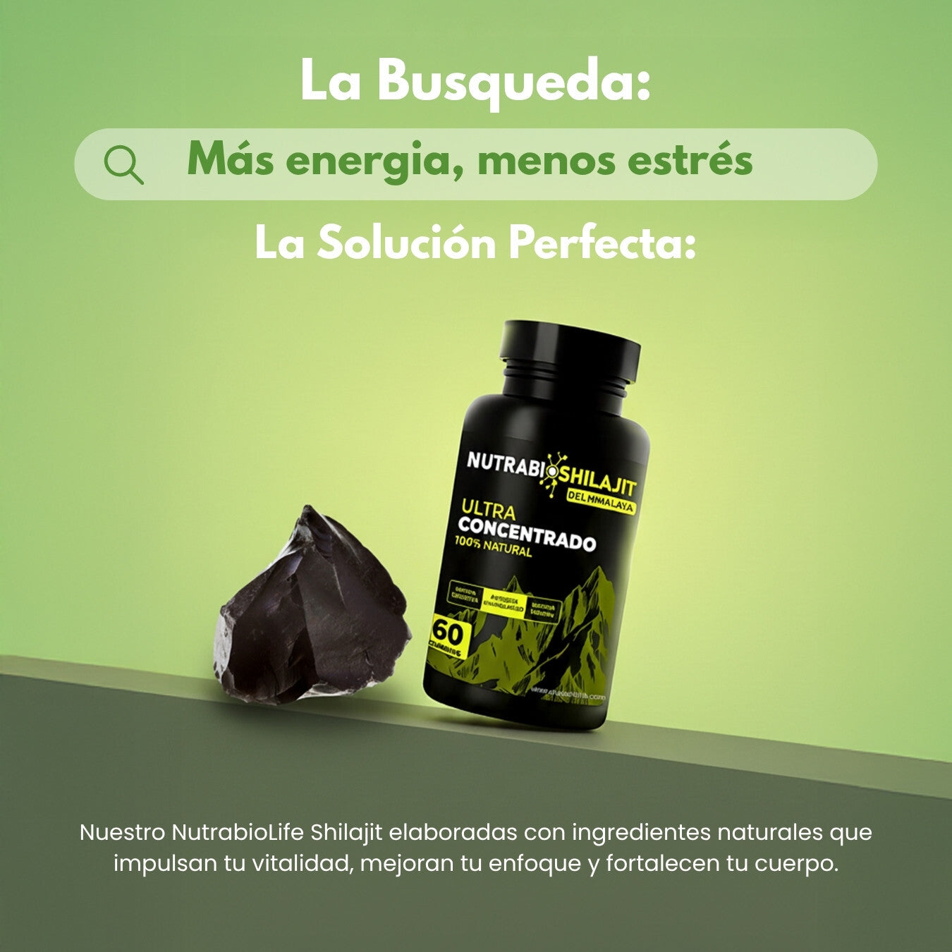 NutraBio Shilajit Gummies – Energía Natural, Vitalidad y Rendimiento Físico (60 Gummies)